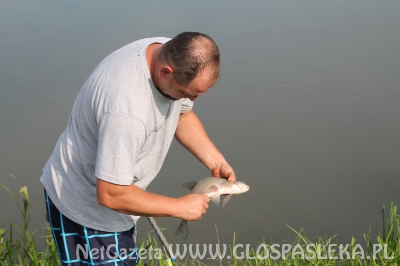 Frekwencja dopisała