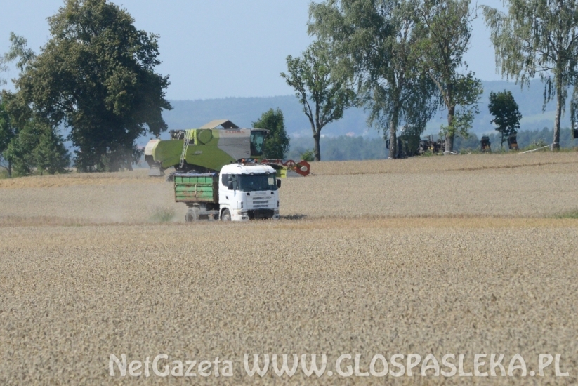 Zbierają wrak samolotu
