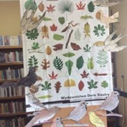 zajęcia w bibliotece w Godkowie