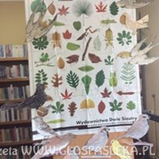 zajęcia w bibliotece w Godkowie