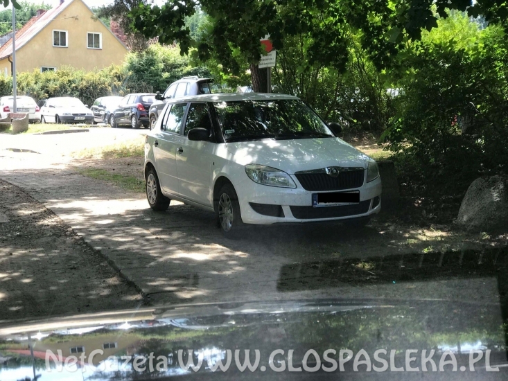 Parkujemy gdzie popadnie