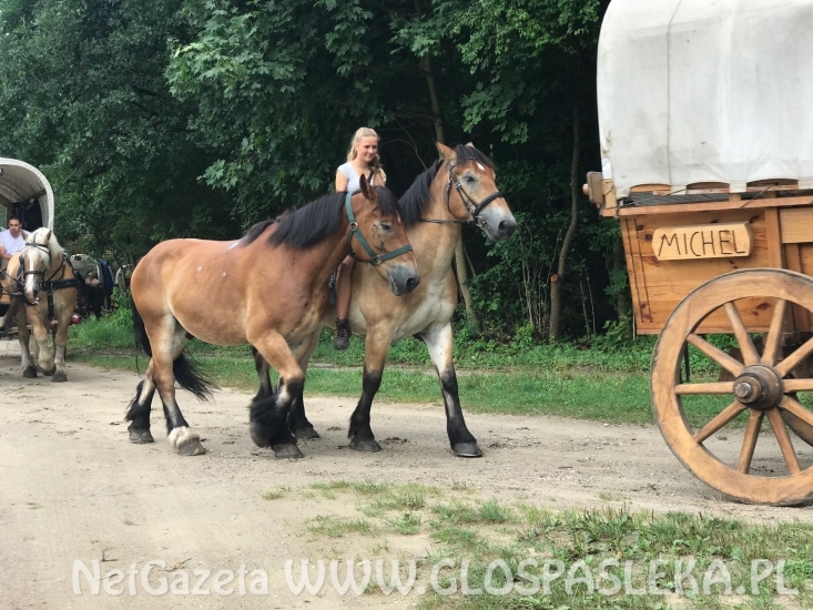 Titanen on Tour (Tytani w trasie) Pasłęk 10.08.2018r.