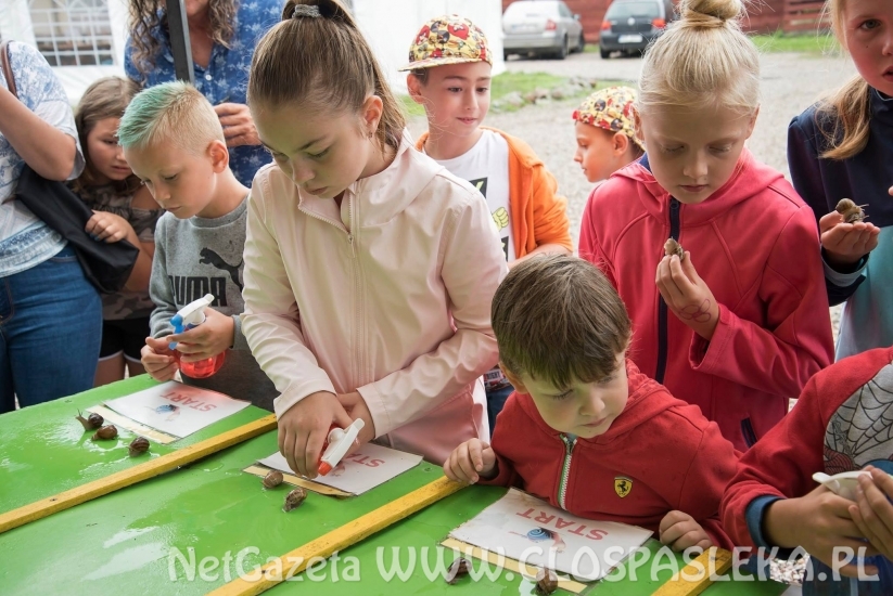 z godkowa BIstro i zoo