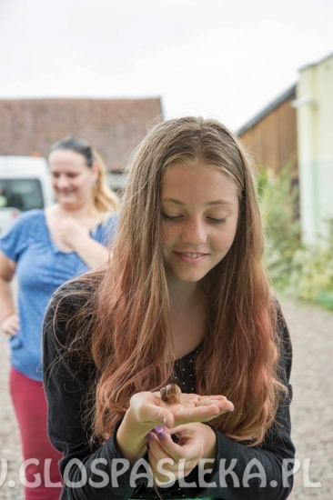 z godkowa BIstro i zoo