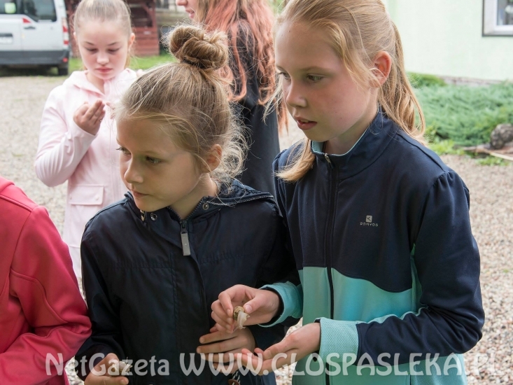 z godkowa BIstro i zoo