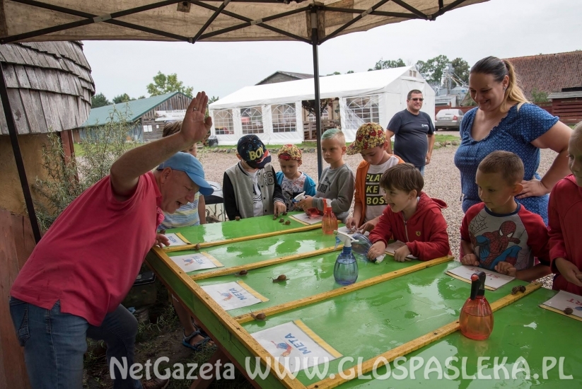 z godkowa BIstro i zoo