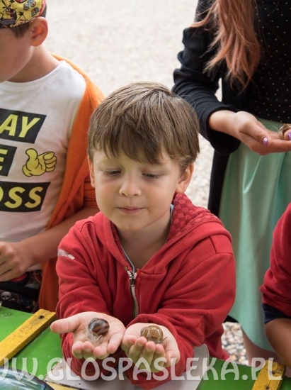 z godkowa BIstro i zoo