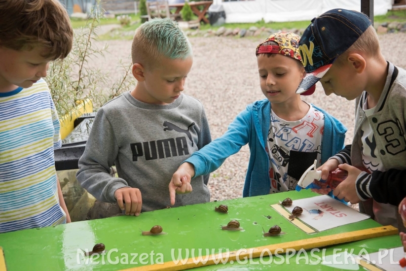 z godkowa BIstro i zoo