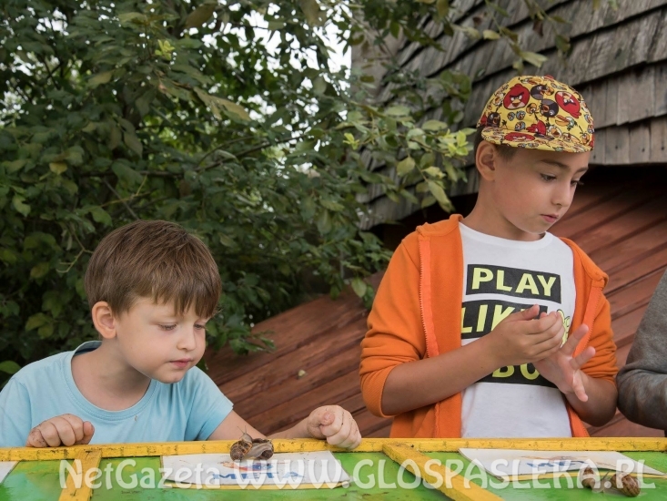 z godkowa BIstro i zoo