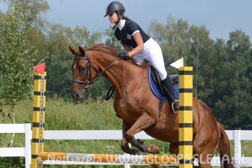 W Pomorskiej Wsi towarzysko