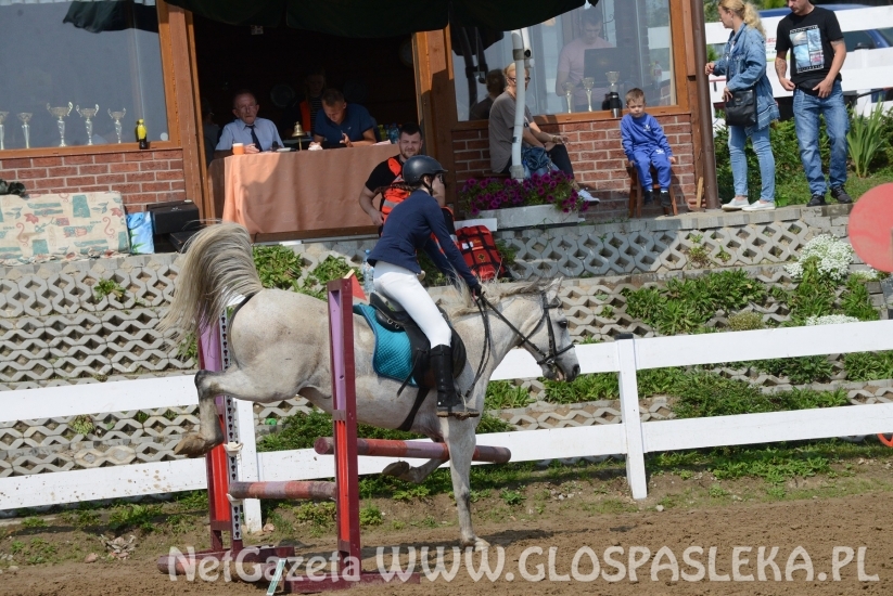 W Pomorskiej Wsi towarzysko