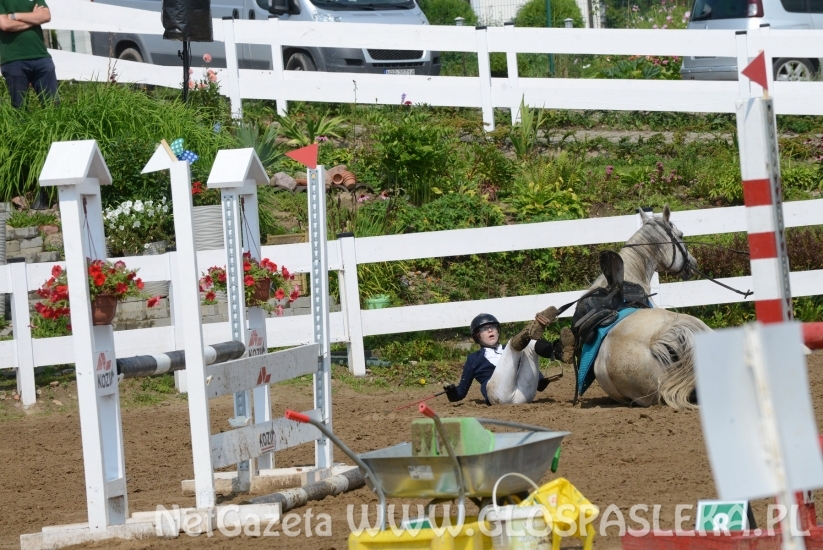 W Pomorskiej Wsi towarzysko