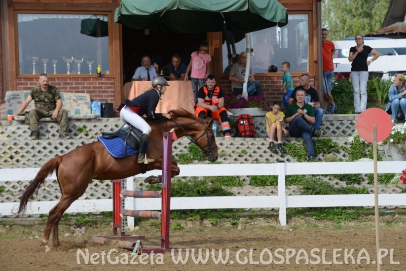 W Pomorskiej Wsi towarzysko