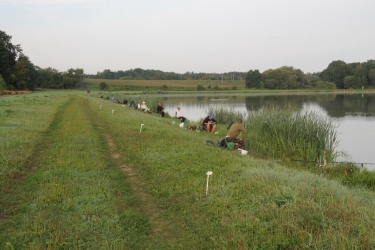W IV GP przeważały leszcze