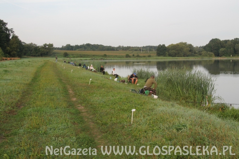 W IV GP przeważały leszcze