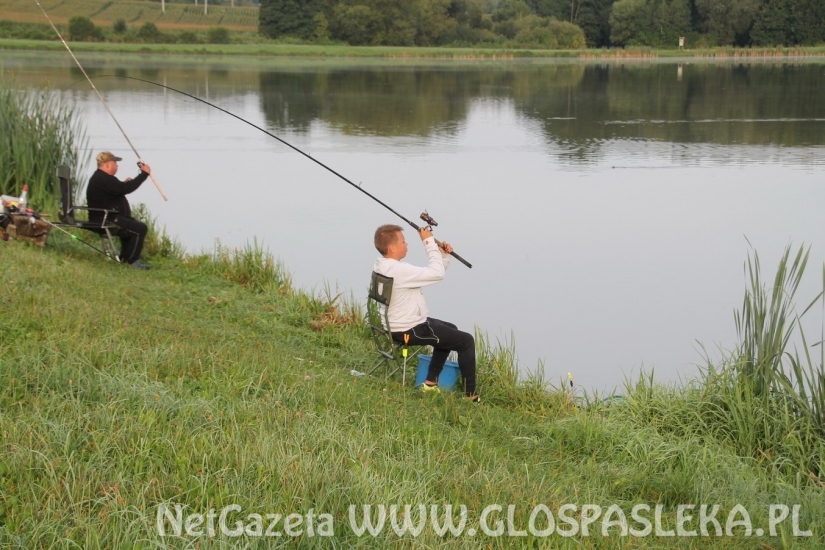 W IV GP przeważały leszcze