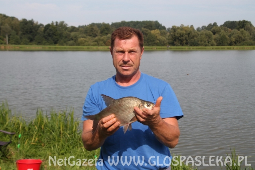 W IV GP przeważały leszcze