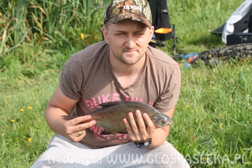 W IV GP przeważały leszcze