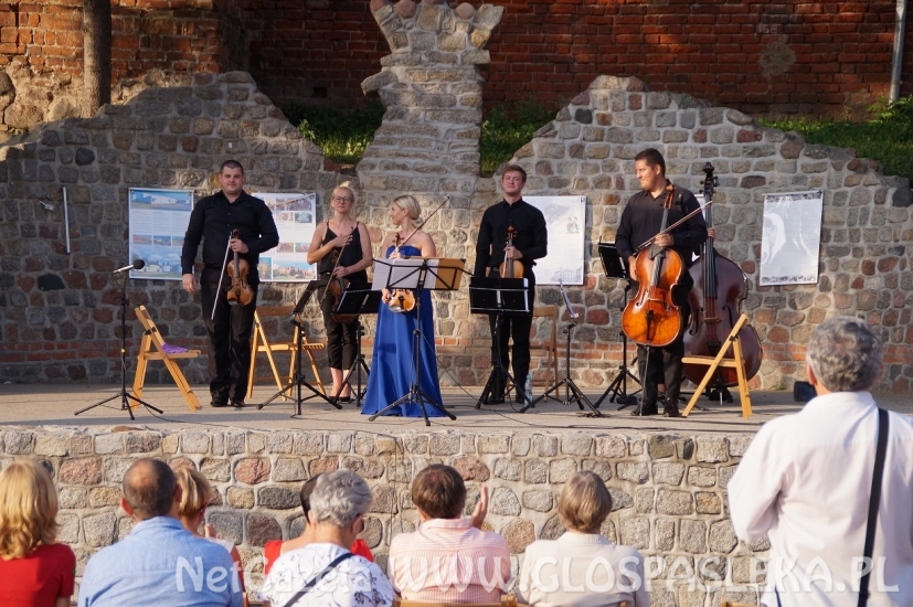 Artystyczne Lato 2018 - koncert muzyki skrzypcowej 