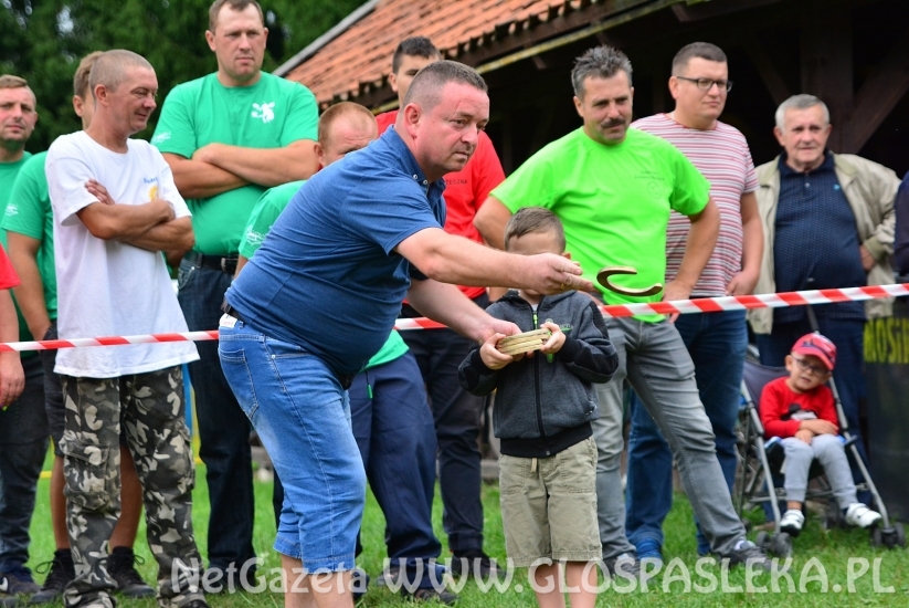 Festyn sołectw 2018