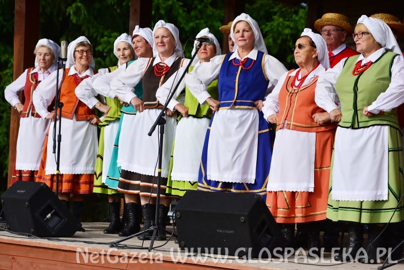 Festyn sołectw 2018