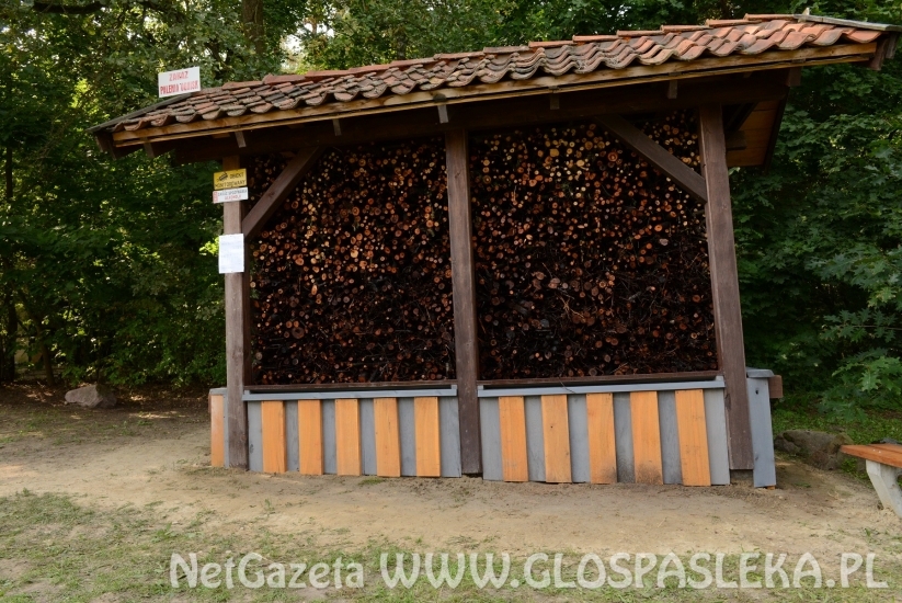 Zapraszamy na inhalacje