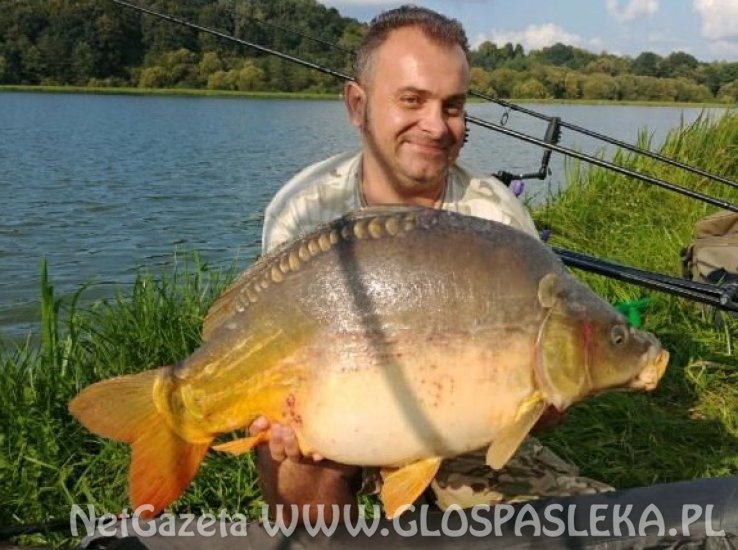 Wrześniowy karp