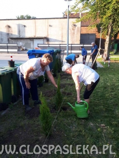 Mieszkańcy dbają o park
