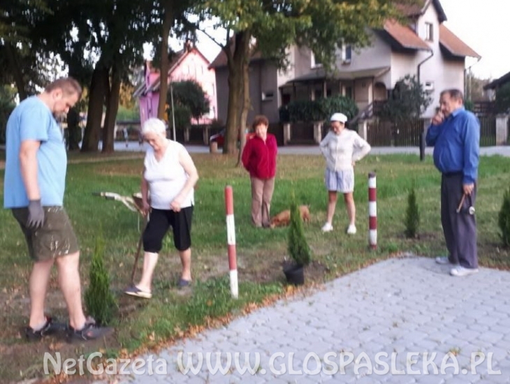 Mieszkańcy dbają o park