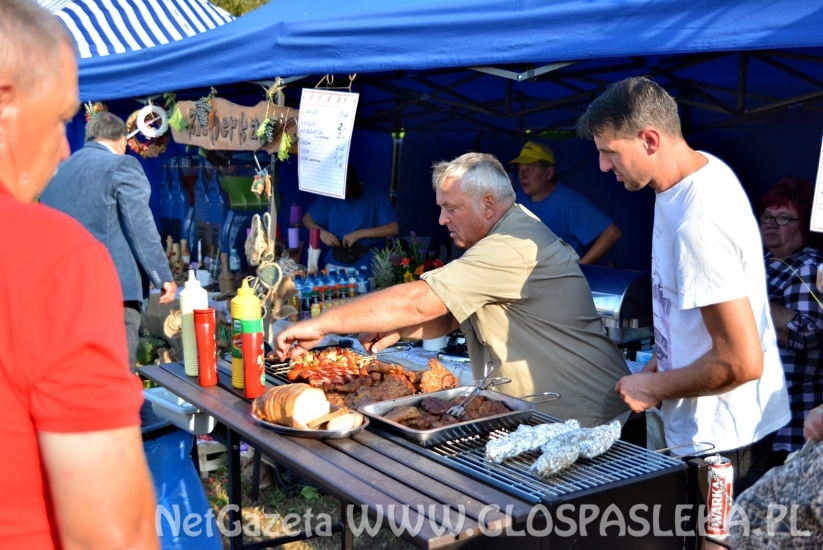 dozynki2018 w powiecie