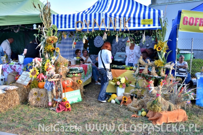 dozynki2018 w powiecie