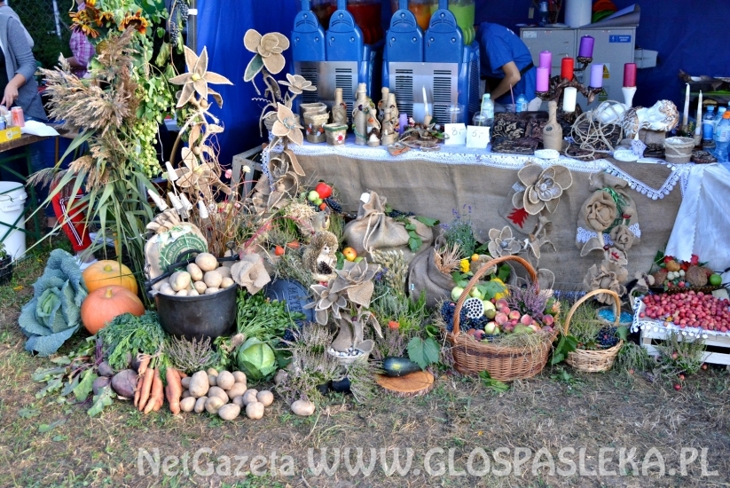 dozynki2018 w powiecie