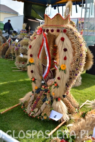 dozynki2018 w powiecie