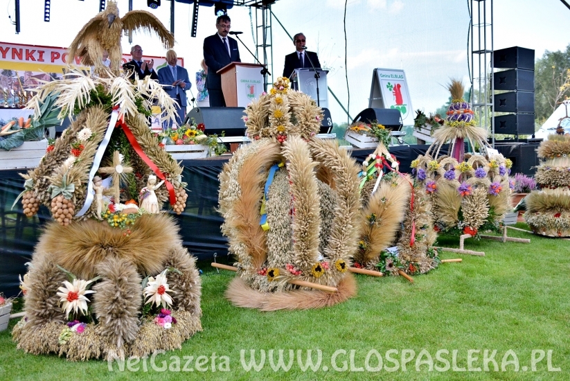 dozynki2018 w powiecie