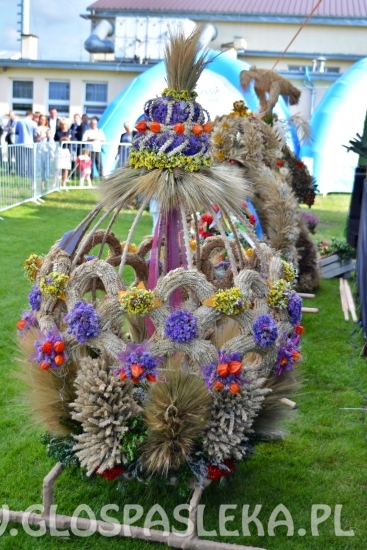 dozynki2018 w powiecie