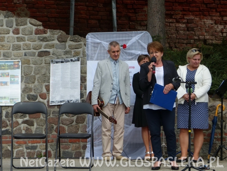 Narodowe Czytanie Przedwiośnia