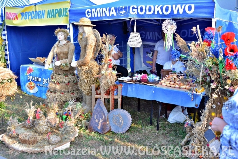 Dożynki powiatowe 2018 - wieńce i stoiska