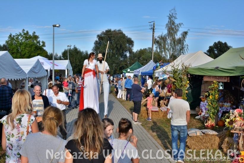 Dożynki powiatowe 2018 - wieńce i stoiska