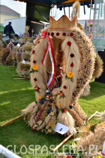 Dożynki powiatowe 2018 - wieńce i stoiska