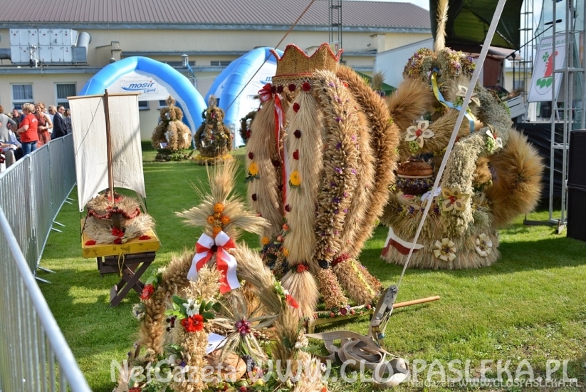 Dożynki powiatowe 2018 - wieńce i stoiska