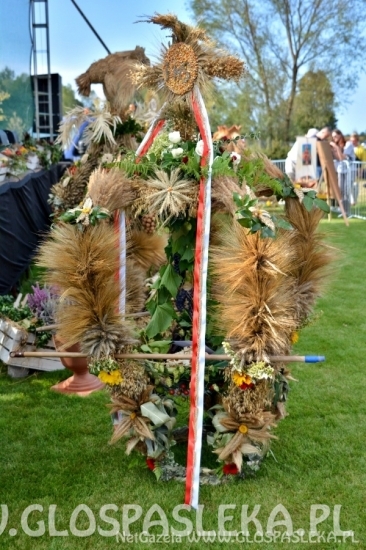 Dożynki powiatowe 2018 - wieńce i stoiska