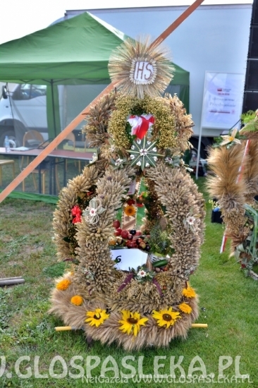 Dożynki powiatowe 2018 - wieńce i stoiska