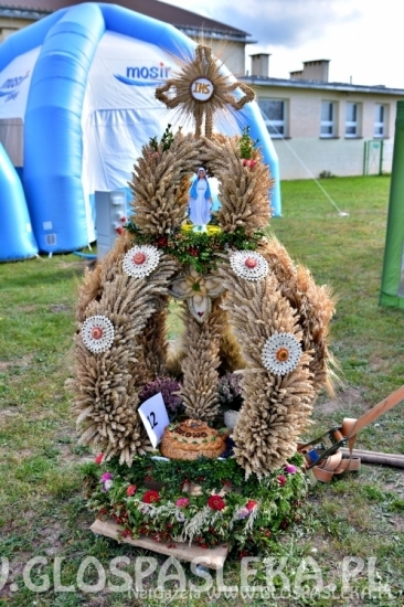 Dożynki powiatowe 2018 - wieńce i stoiska