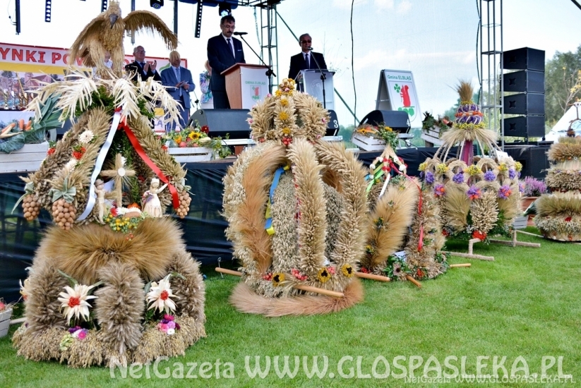 Dożynki powiatowe 2018 - wieńce i stoiska