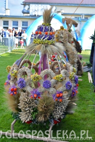 Dożynki powiatowe 2018 - wieńce i stoiska