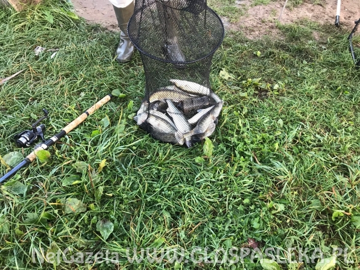 Niewymiarowe sandacze