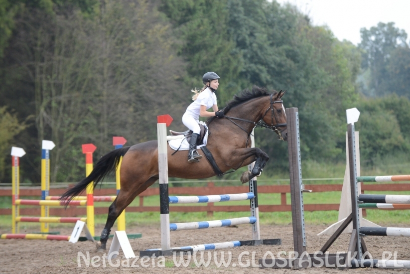 Derby dla Ali Soroki