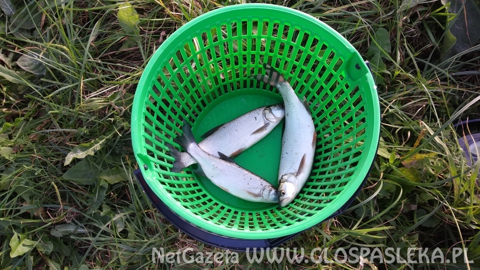 Wrześniowe Grand Prix – wyniki