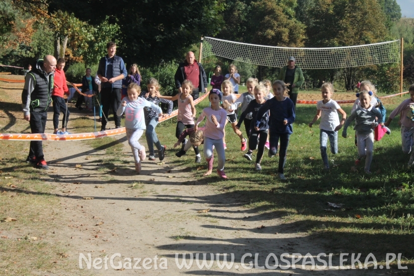 Mistrzostwach Powiatu Elbląskiego