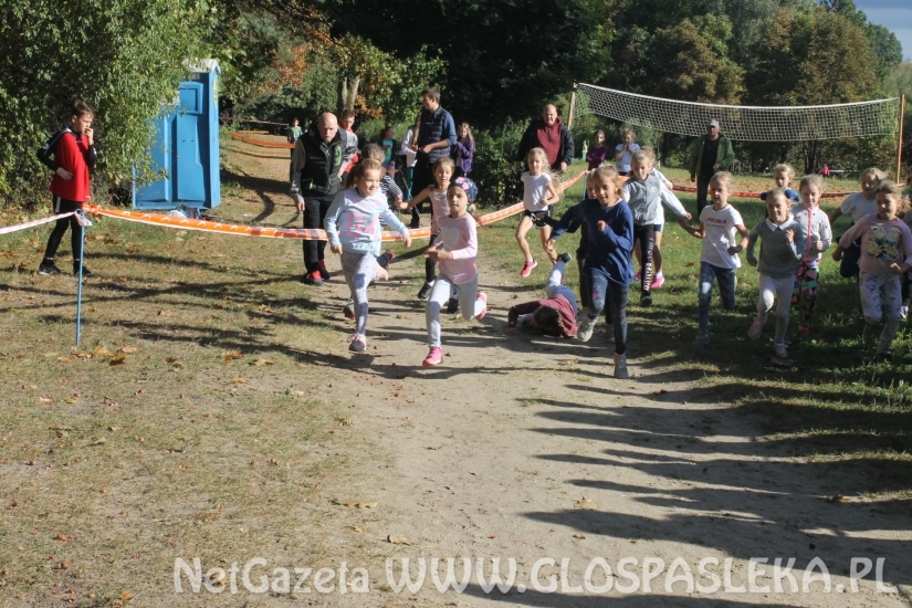 Mistrzostwach Powiatu Elbląskiego